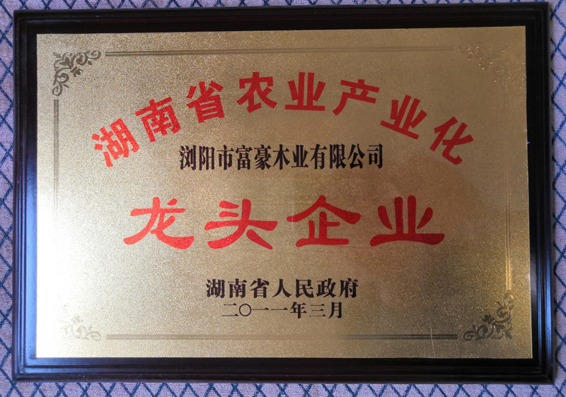 富豪樓梯榮獲省林業產業龍頭企業